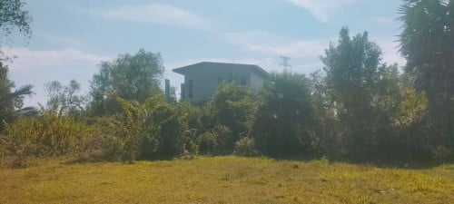 ដីជាប់ព្រែកលក់នៅកំពត Land on the Kampot riverside for sale