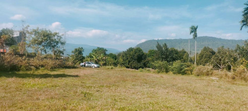 ដីជាប់ព្រែកលក់នៅកំពត Land on the Kampot riverside for sale