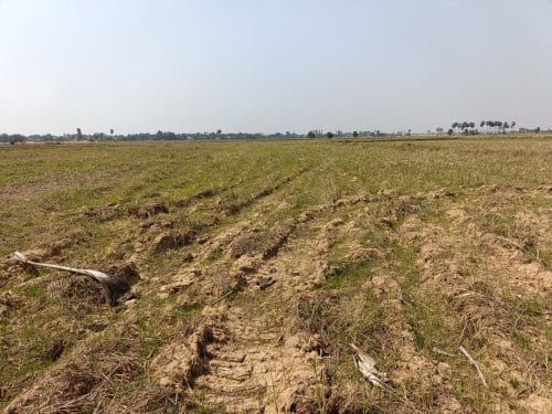 🏦Land Available for Urgent Sale at a Special Price (Negotiable).
