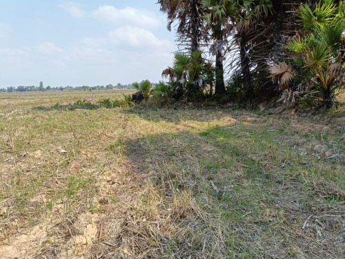 🏦Land Available for Urgent Sale at a Special Price (Negotiable).