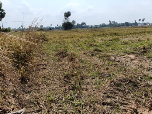 🏦Land Available for Urgent Sale at a Special Price (Negotiable).