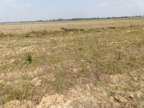🏦Land Available for Urgent Sale at a Special Price (Negotiable).