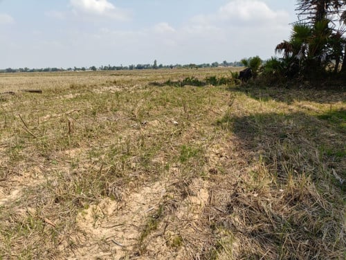 🏦Land Available for Urgent Sale at a Special Price (Negotiable).
