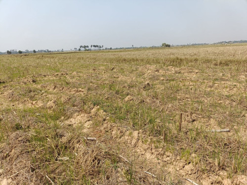 🏦Land Available for Urgent Sale at a Special Price (Negotiable).