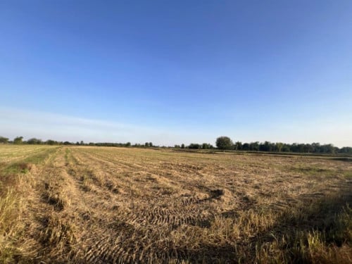 🏦Land Available for Urgent Sale at a Special Price (Negotiable).