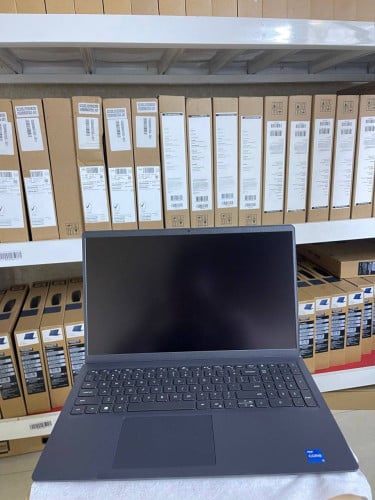 Dell DC15 250 (New Laptop)