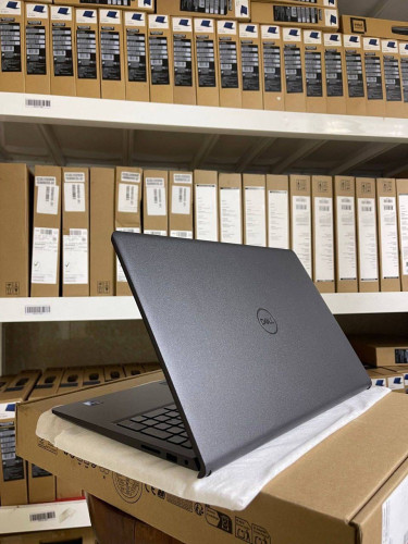 Dell DC15 250 (New Laptop)