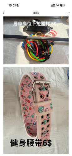 Fitness equipment, $30 for the whole set.