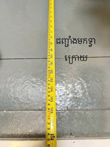 Shop House លក់បន្ទាន់ បុរីប៉េងហួត