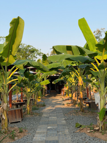 ទីតាំងសម្រាប់ជួល (ហាងគុយទាវ កាហ្វេ) ទីក្រុងតាខ្មៅ