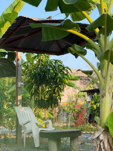 ទីតាំងសម្រាប់ជួល (ហាងគុយទាវ កាហ្វេ) ទីក្រុងតាខ្មៅ