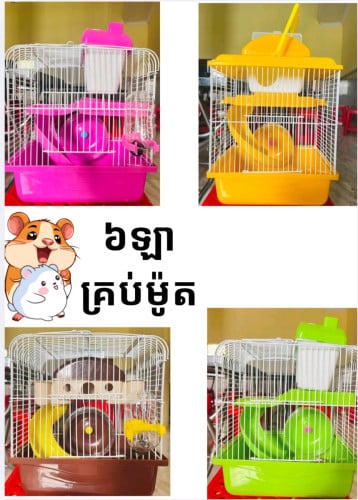 ទ្រុងហែមស្ទើរ