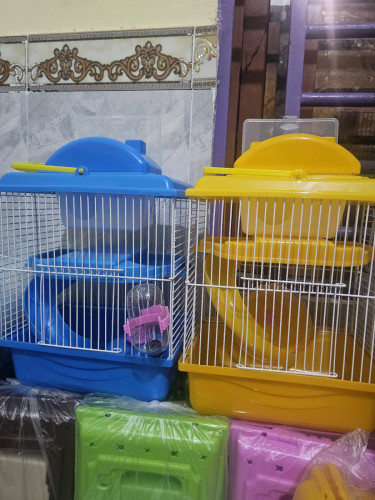 ទ្រុងហែមស្ទើរ