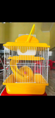 ទ្រុងហែមស្ទើរ