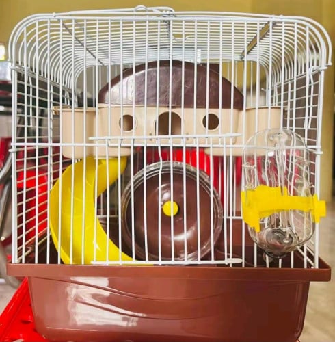 ទ្រង់ពីរជាន់
