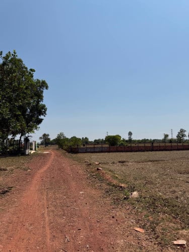 ដីលក់នៅសៀមរាប
