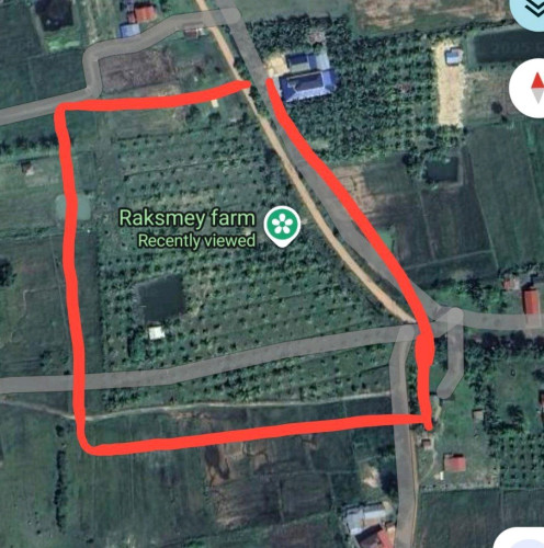 ចំការដូងក្រអូបលក់បន្ទាន់