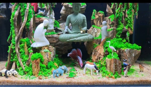 ទូត្រី