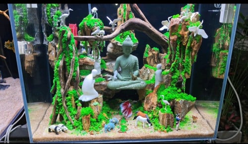 ទូត្រី