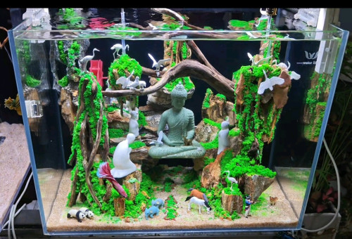 ទូត្រី
