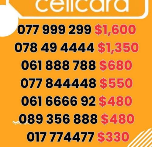 061888855 089777759 014880000 014777700