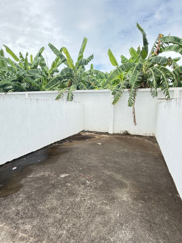 House for rent