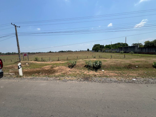 Land for sale