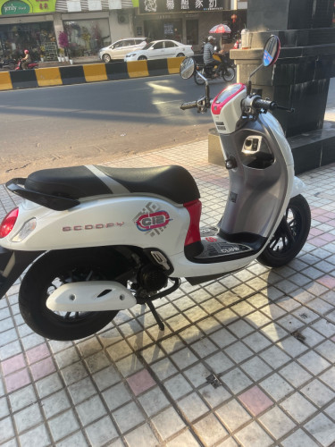 SCOOPY