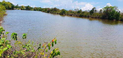 កំពតដីលក់ជាប់ព្រែកក្បាលរមាស