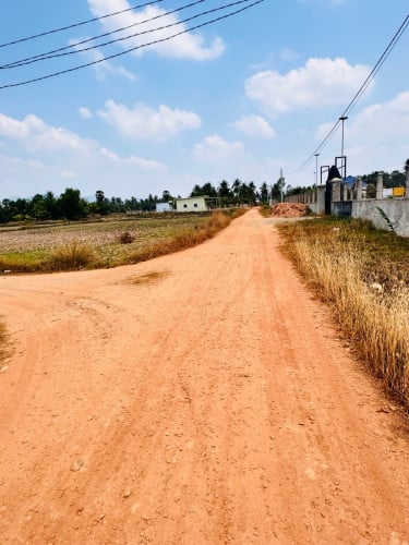 ដីលក់ ប្លង់រីង