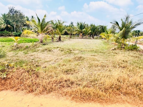 ដីលក់ ប្លង់រីង