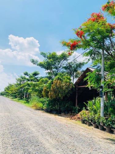 ផ្ទះលំហែនៅស្អាងលក់​ឬ ជួល