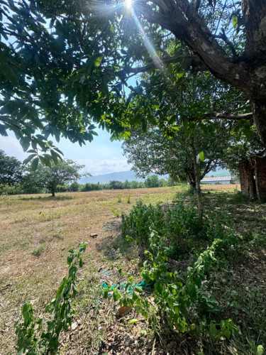 ដីចម្ការសម្រាប់លក់បន្ទាន់(ម្ចាស់ផ្ទាល់)