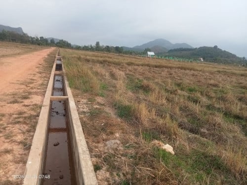 ដីលក់នៅកំពត ជិតភ្នំឈ្ងោក Land Sales in Kampot near Phnom Chhgnok Cave