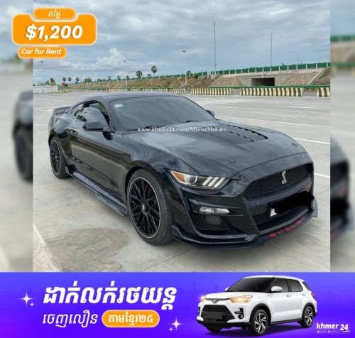 👉 Ford Mustang Shelby — Rent for Events / Photos / Premium Drive