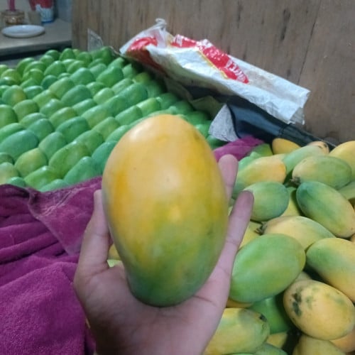 ផ្លែស្វាយ
