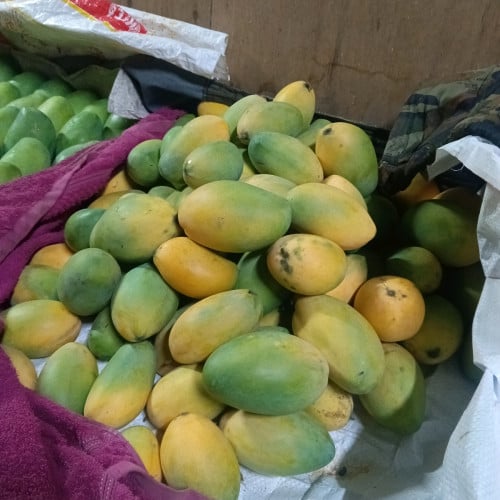 ផ្លែស្វាយ
