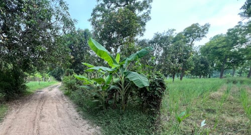 ដីលក់តម្លៃសមរម្យចរចារបាន