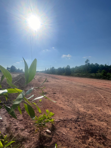 ដីសម្រាប់លក់បន្ទាន់(ម្ចាស់ផ្ទាល់)