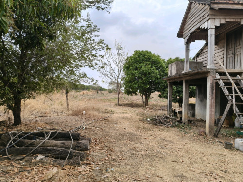 ដី ផ្ទះចំការលក់