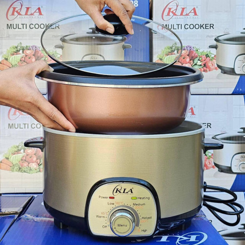 ឆ្នាំងអគ្គីសនីពហុមុខងារ