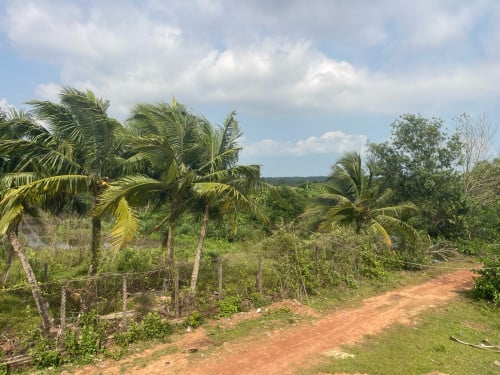 ដីលក់នៅក្រុងព្រះសីហនុ