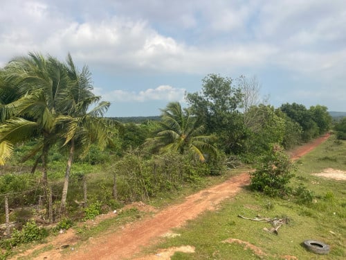ដីលក់នៅក្រុងព្រះសីហនុ