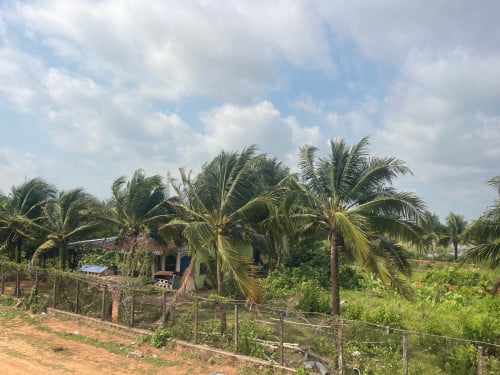ដីលក់នៅក្រុងព្រះសីហនុ