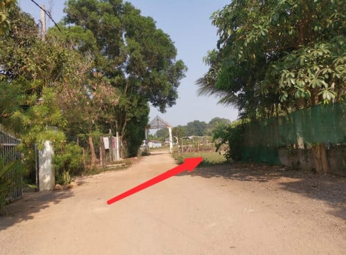 ដីលក់ទំហំ10mx20m(ម្ចាស់ផ្ទាល់)