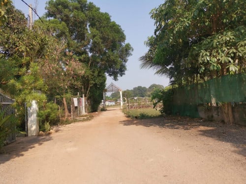 ដីលក់ទំហំ10mx20m(ម្ចាស់ផ្ទាល់)