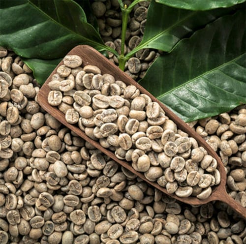 ๐ Coffee Arabic & Robusta 100%โ๐ฟ
