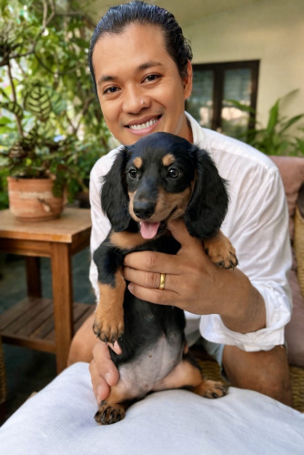 (SOLD) Dachshund Puppy girl for Sale – Purebred – Phnom Penh