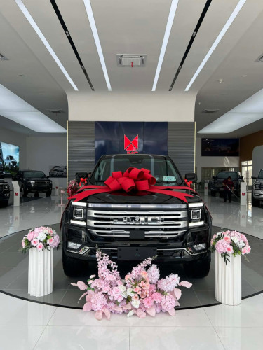 Grand Avenue plus(GLS Plus) កង់ធំ