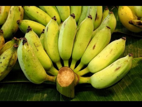ត្រូវការដៃគូចែកចាយ